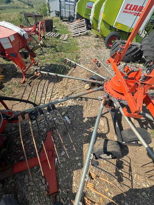 grebla paianjen fella