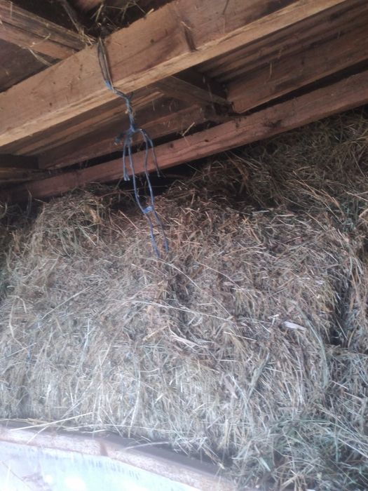 Baloti fan 170 cm cu 120