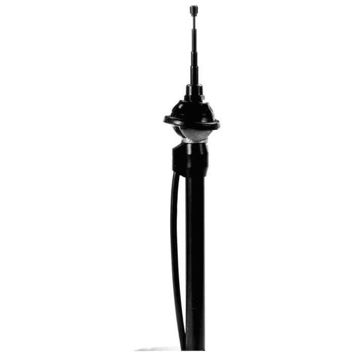 Antena auto aripa Carpoint, telescopica 80 cm, baza neagra, cablu de 1,20 m
