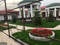 Gazon, Landshaft, Bog‘bonchilik – Professional Xizmatlar | Toshkent