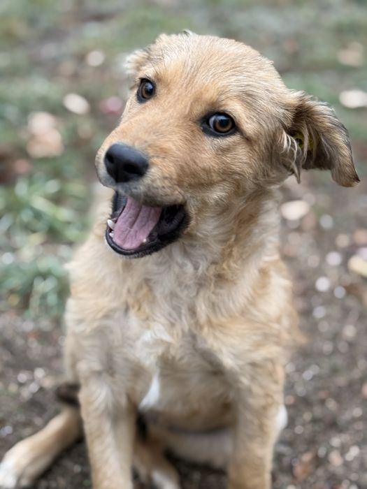 Девочка ищет семью