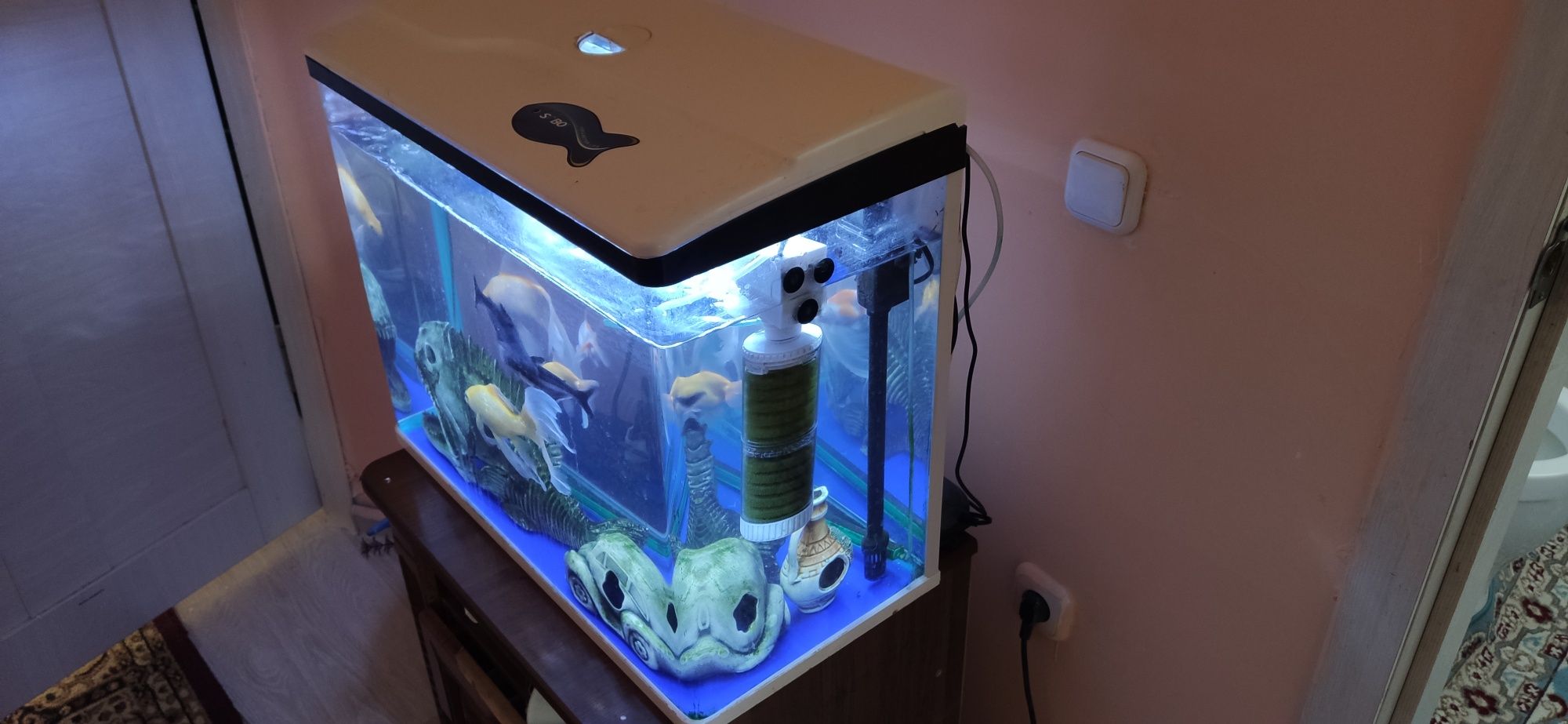 Продам аквариум с рыбками и аксессуарами