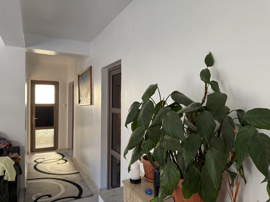 Vand casa in Feleacu