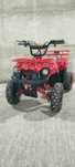 Mini Atv Quad adus din Germania pentru electric de 1000w 3 viteze