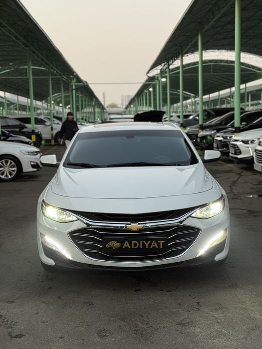 Malibu 2.4 Xolati ideal kraska tozza