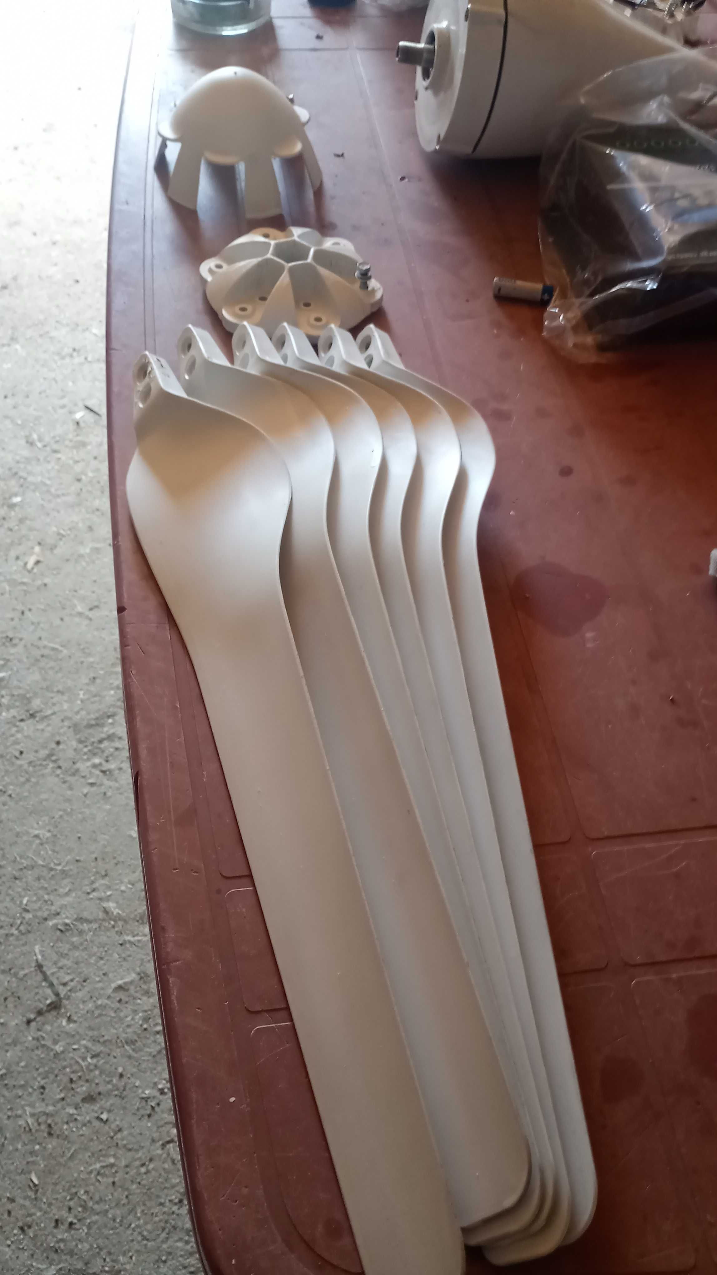 Eoliana  Set  6 pale complecte