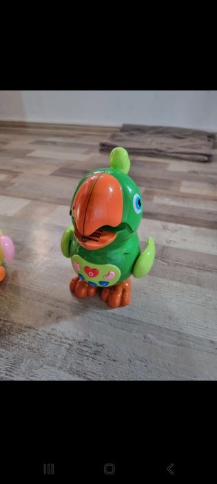 Papagalul polly interactiv