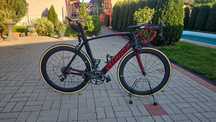 Cursiera carbon specialized
