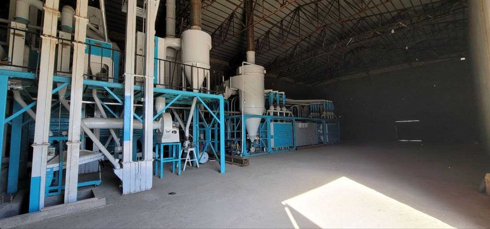 Таййор ун завод сотилади