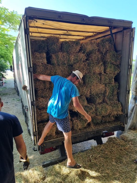 Baloti Rotunzi Fan sau Lucerna min.40.Drept.500.Pomi fructiferi >RO ES