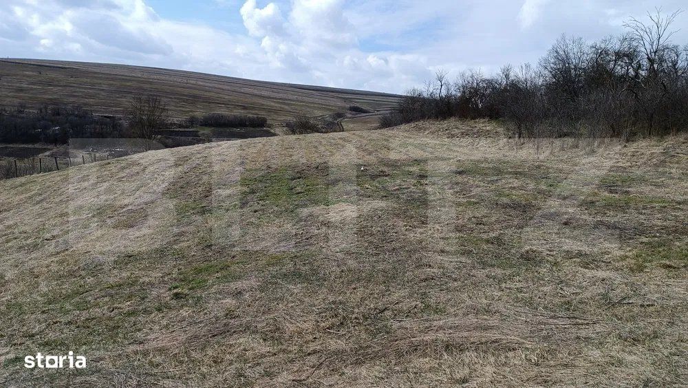 Casa veche cu teren generos de 5.300 mp – oportunitate de investitie