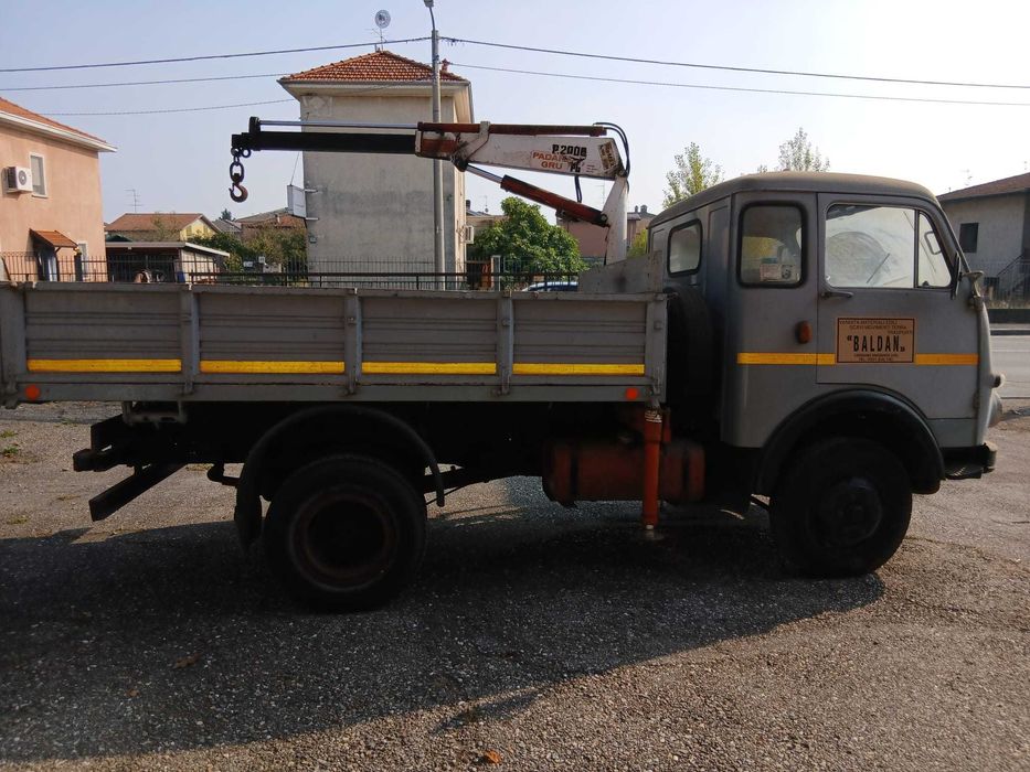 Vând Leoncin 35 c