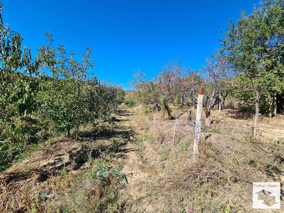 Продава се Парцел в с. Габровци, Област Велико Търново - 2358 кв.м за 7 €/кв.м - Снимка #5