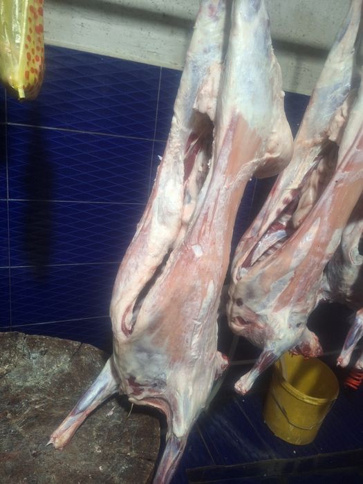 Ет сатамыз Қой еті