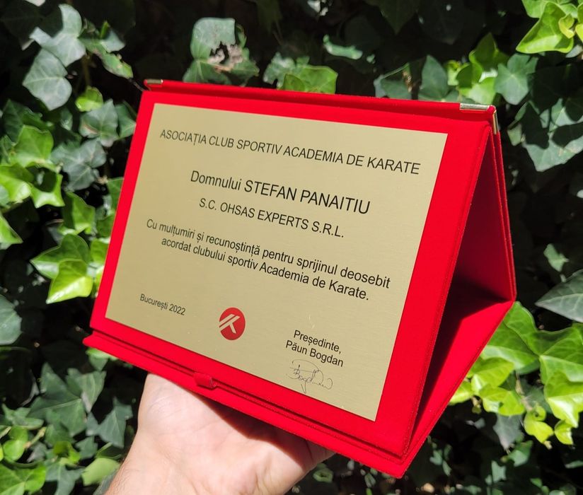 Personalizări/ grafică publicitară/ logo firmă