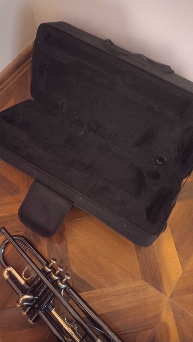 trompetă  profesională