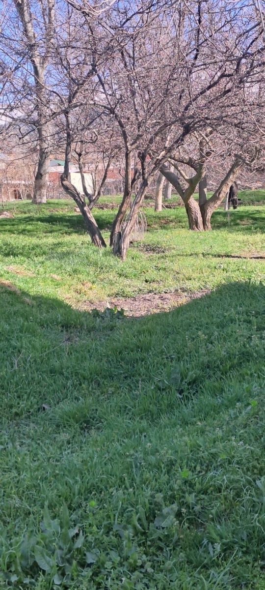 OQ TOSH 12 SOTIX YER SOTILADI xujjati joyida