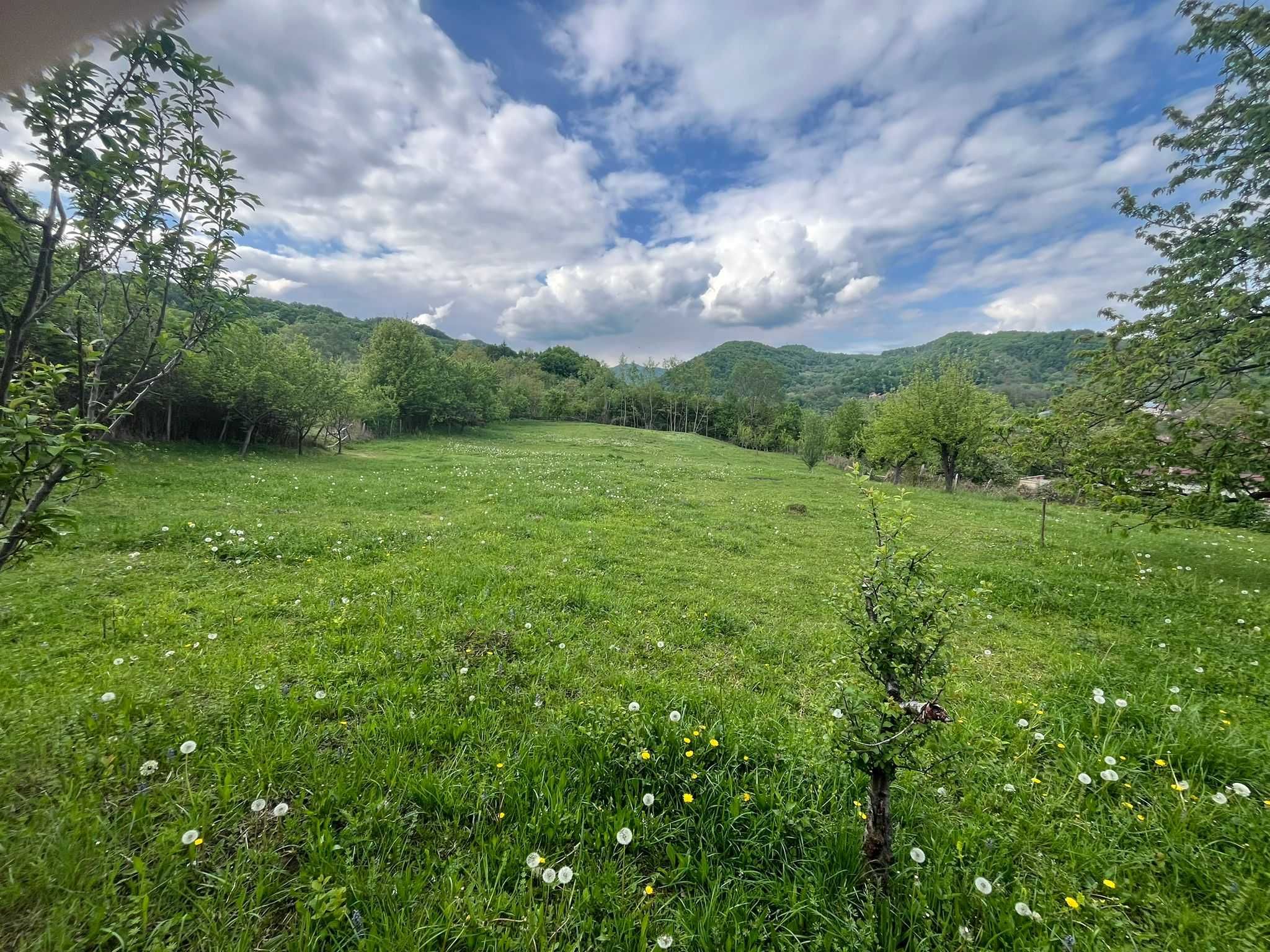 Teren intravilan Baile Olanesti, 4 loturi