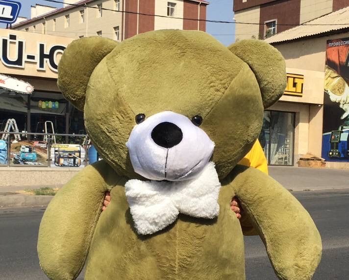 Акция купить мягкие игрушки плюшевые мишки медведь подарки панда айфон