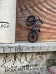 Rockrider 530 S Albastru