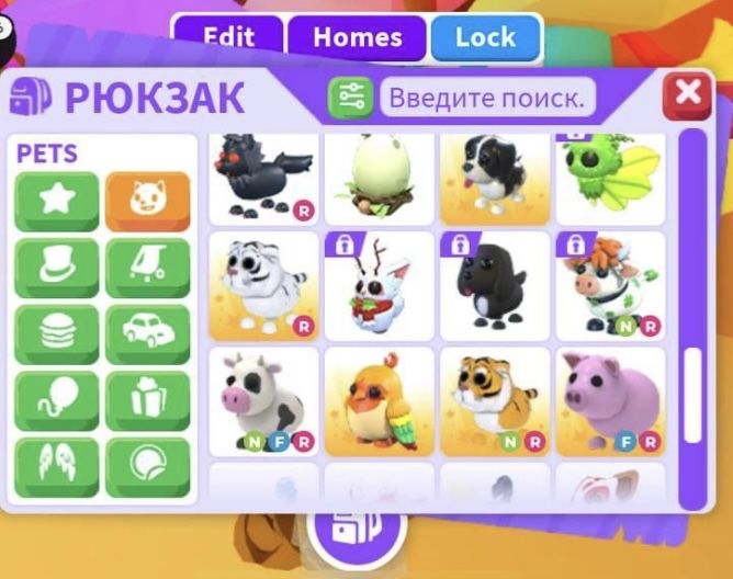 Продам петов в адопт ми