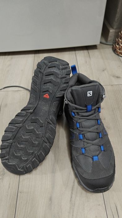 Salomon Nr  42..