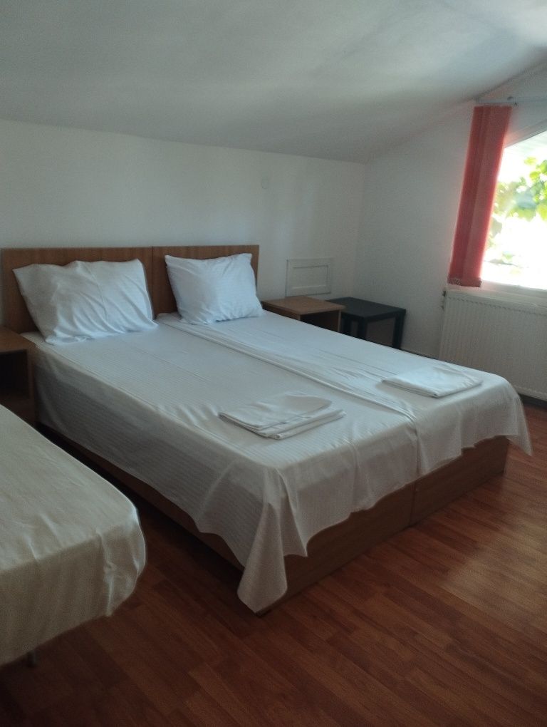 Cazare  Vila Gabriela din Techirghiol Apartament