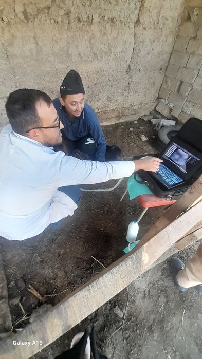 Vetuzi Viloyat boylab sifatli uzi xizmati bor