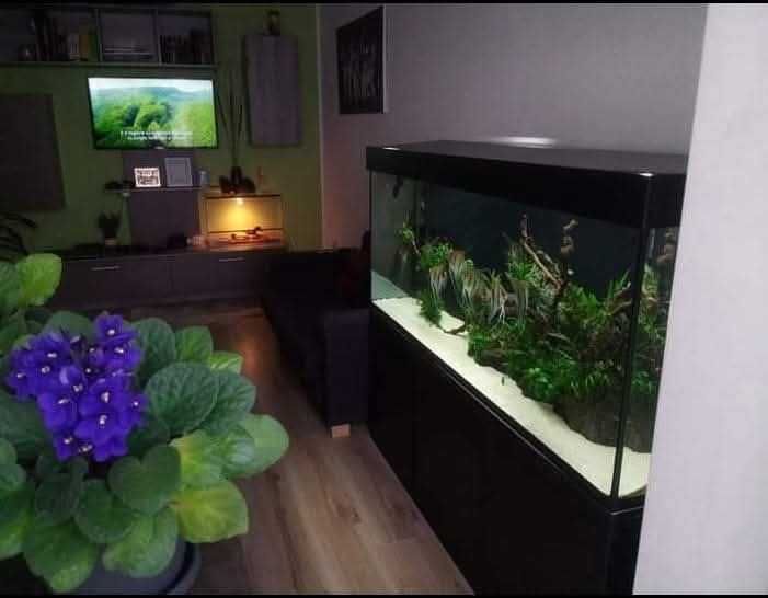 Inchiriez apartament 2 camere open space (Sector 4/Metalurgiei)