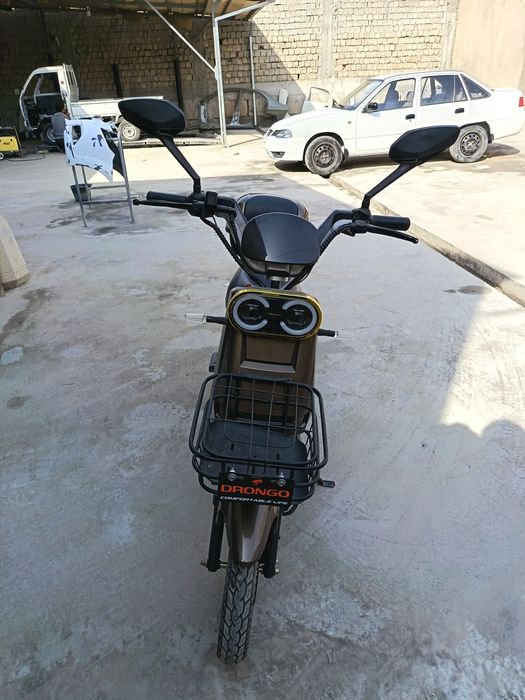 Sukutr sotiladi yangiday