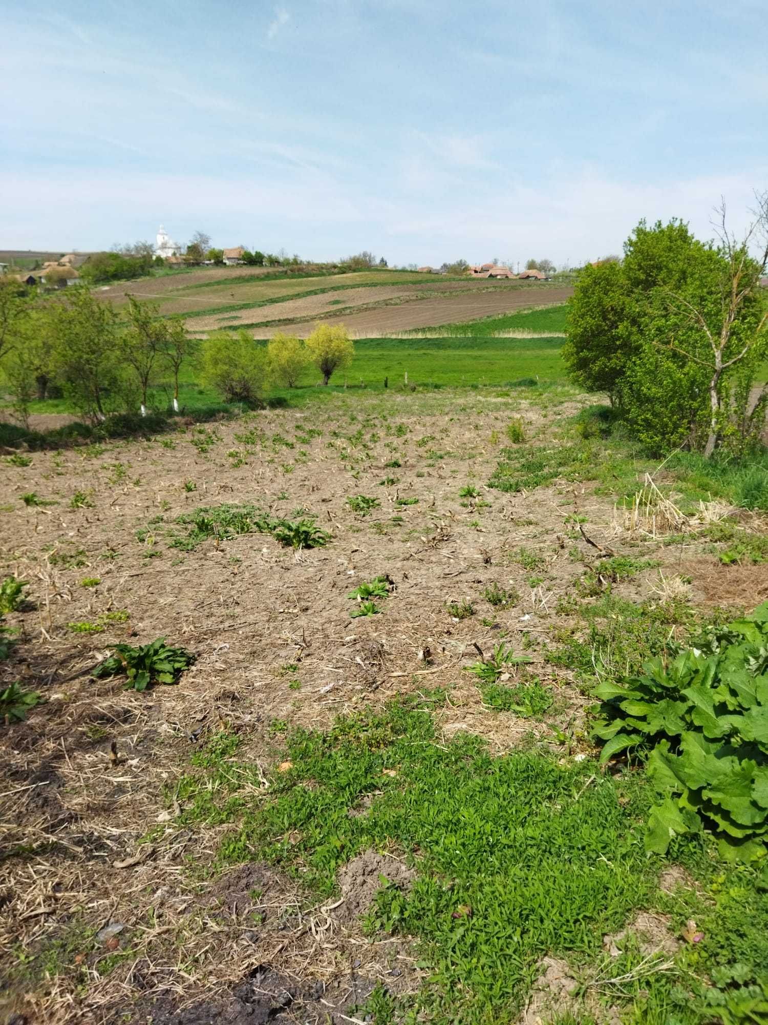 Vând casă cu grădină (acte la zi) în Frata, județul Cluj.