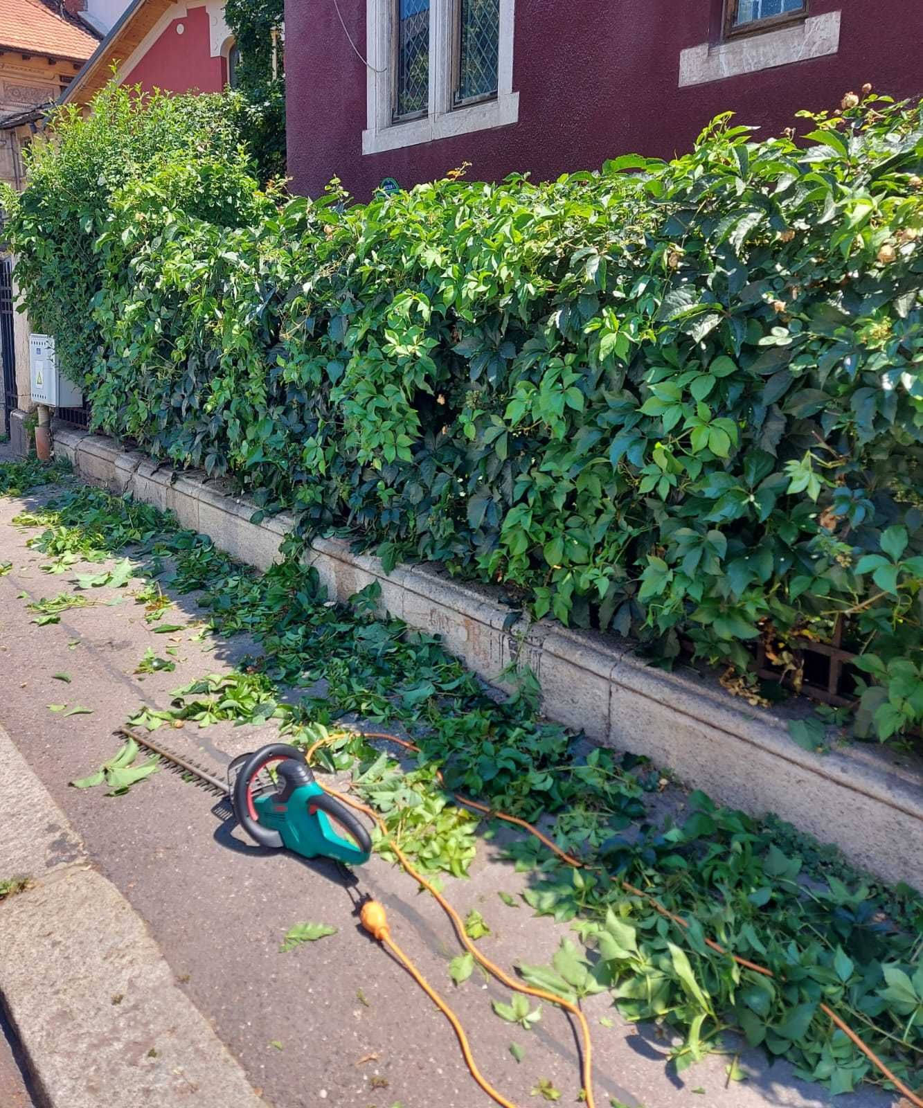 Întreținere grădini, gazon, plante, arbori, piscine - Inginer horticol