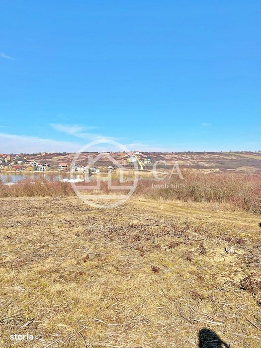 Teren 10.071 mp de vanzare in Paleu, Bihor