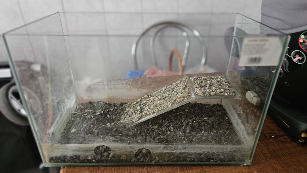 Acvariu / terariu pentru broscuțe țestoase