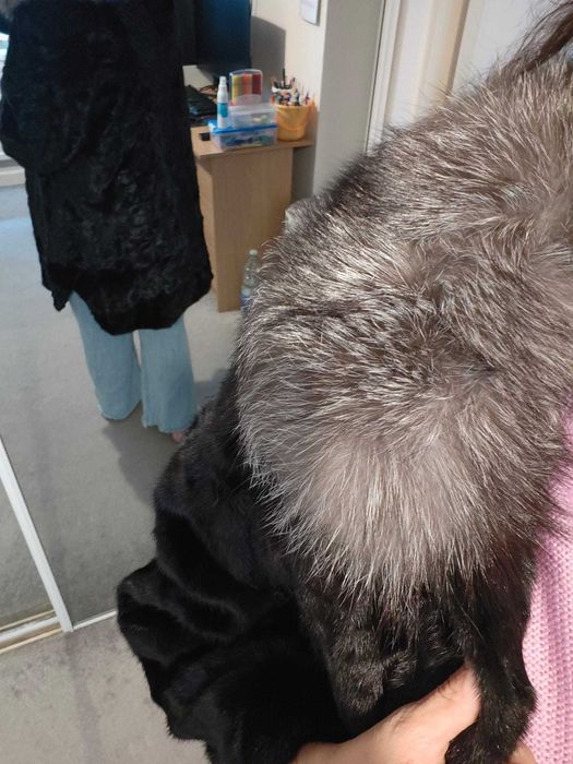 Haina blana bizon cu guler de vulpe argintie