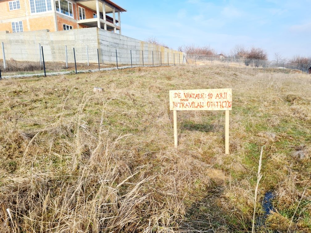 Vând teren intravilan, 10 ari, cu priveliște superbă, Bistrița