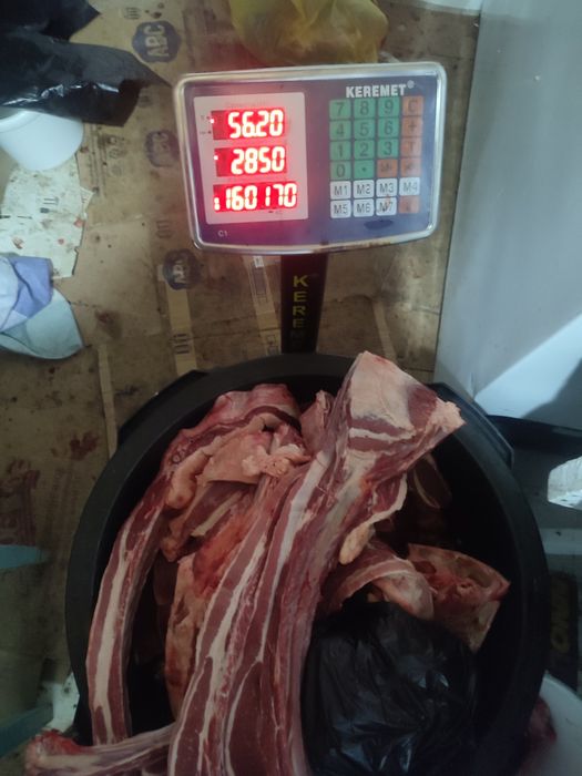 ШОК цена кунан 2850 тг/кг. Құнан с откорма