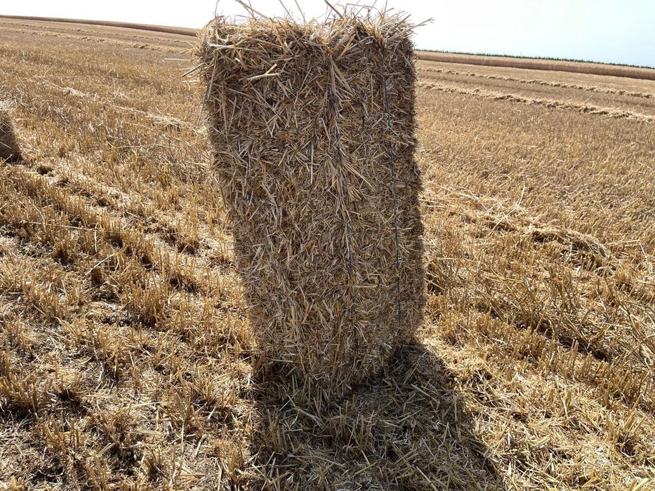 Baloți de paie  de grâu