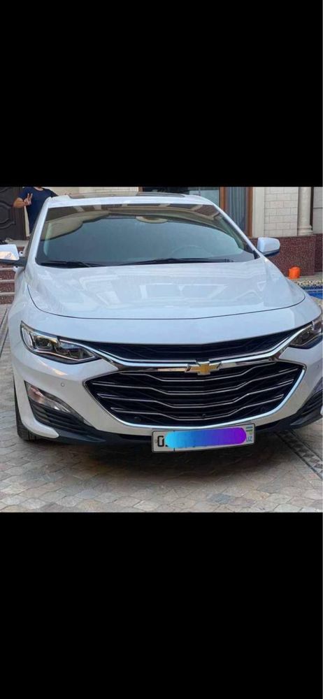 MALIBU premier 2020