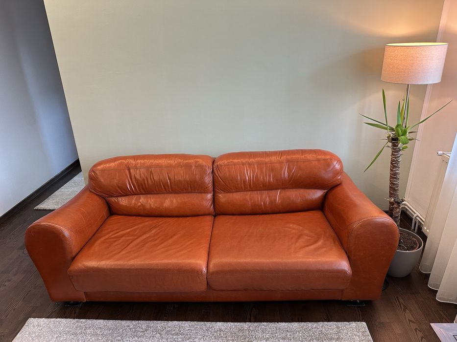 Canapea extensibila din piele