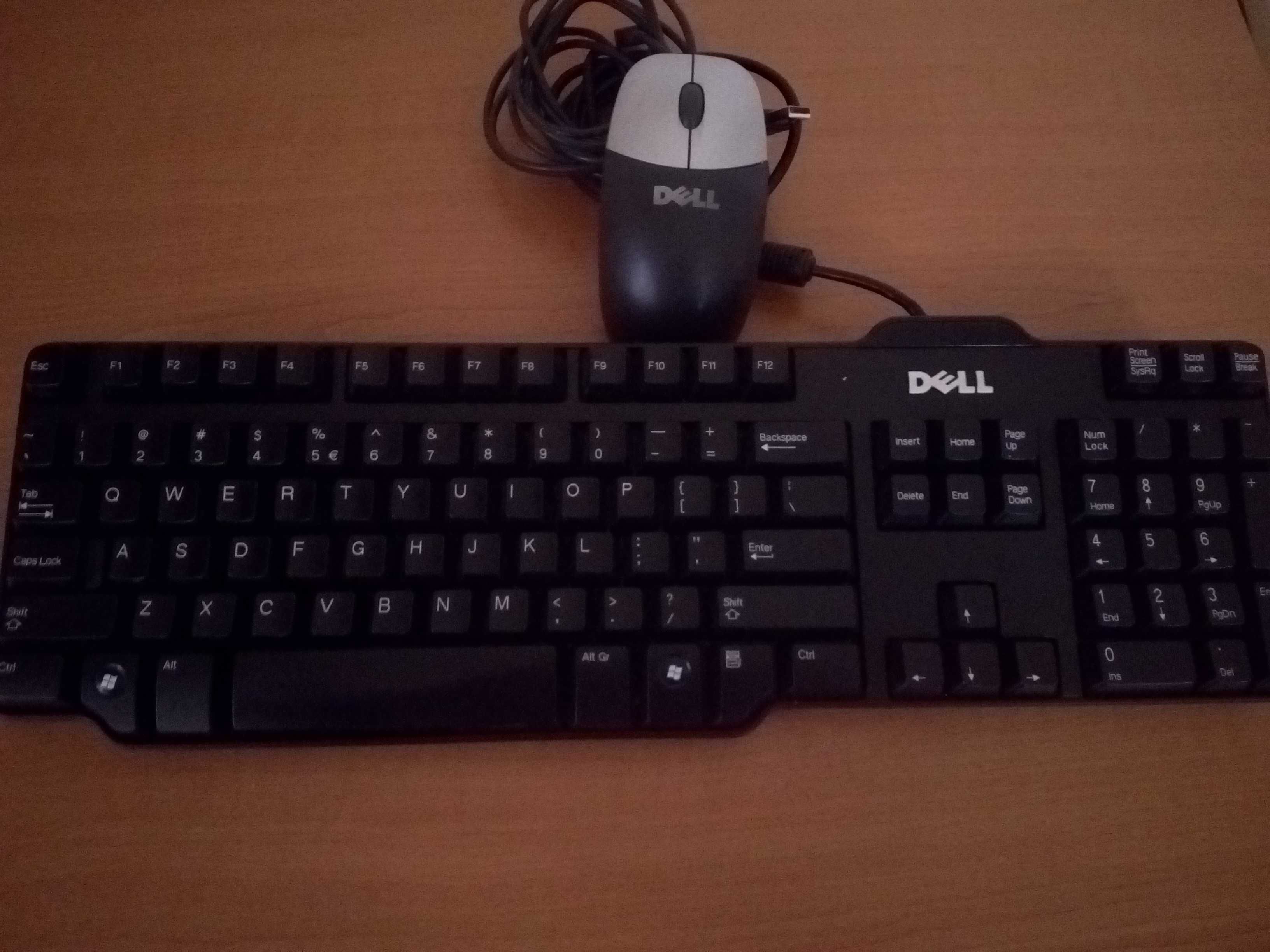 Tastatura si mouse dell