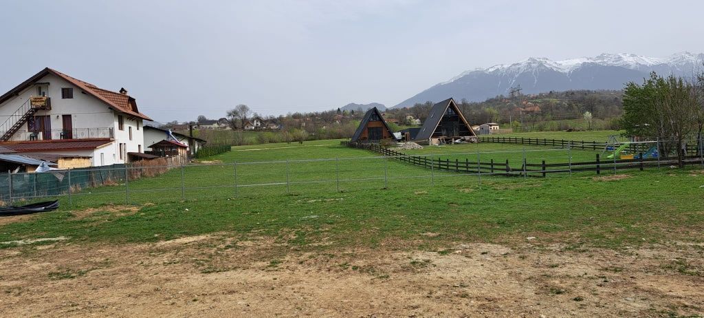 Teren intravilan Tohanul Nou Brasov