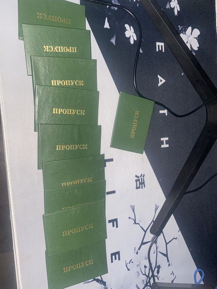 Пропуски из СССР