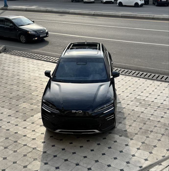 BYD Champion smart drive full 2025/2026