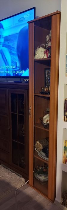 LEMS  Corpuri SimplU/DublU 100/200 LEI