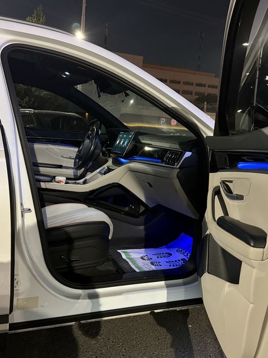 BYD CHampion Hybrid