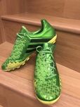 adidas  predator absolionFG