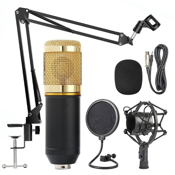 Студиен микрофон intempo (germany) идеален подарък за 14 февруари