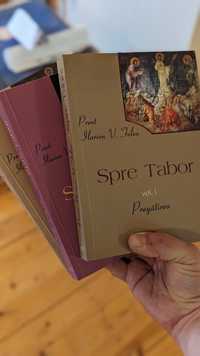 Pachet 3 volume Spre Tabor - Pr Ilarion Felea