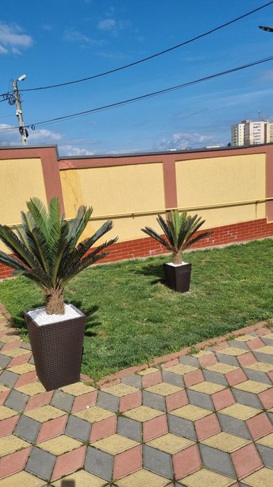 Palmieri artificiali